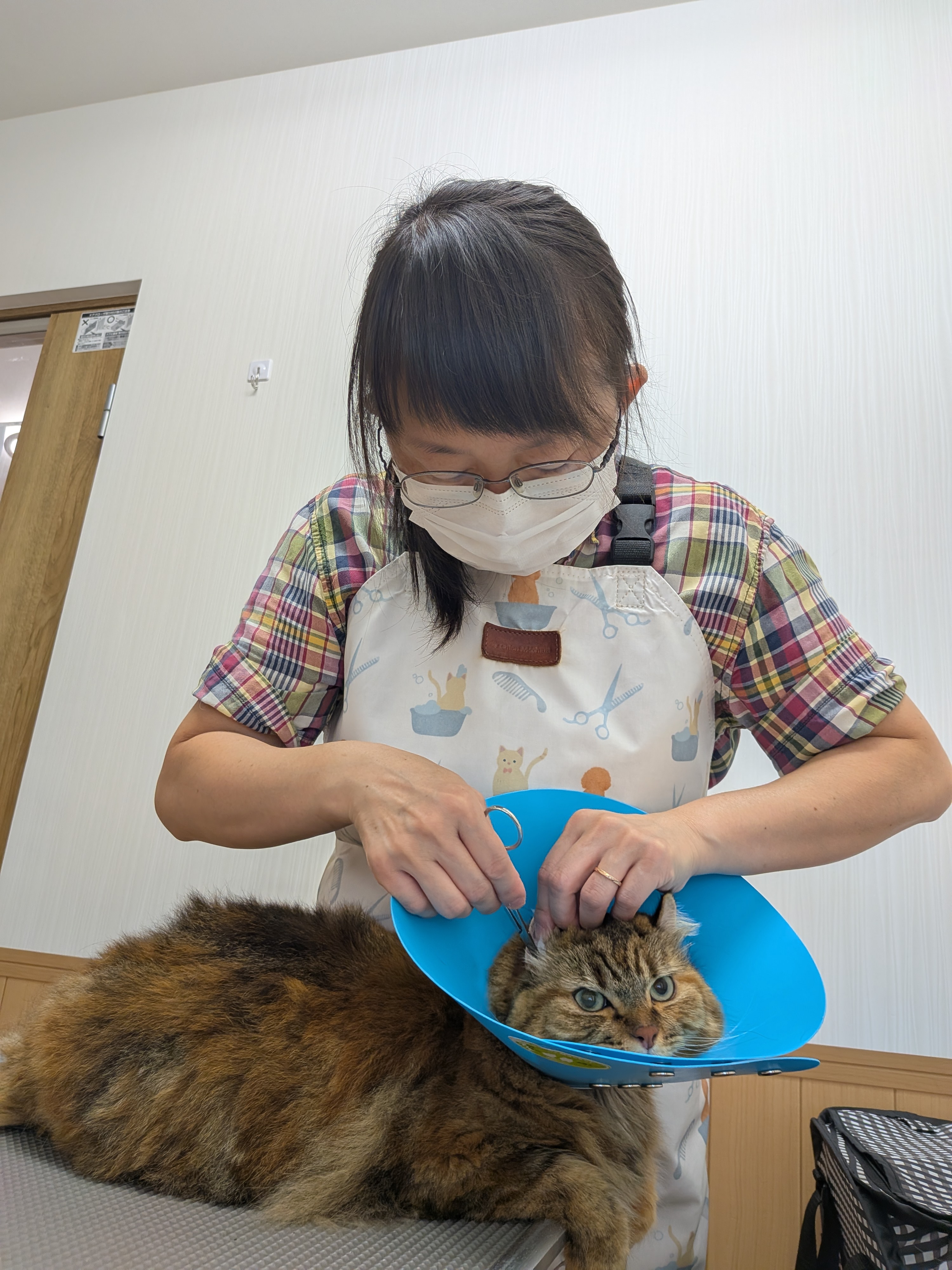 小浪 紀子