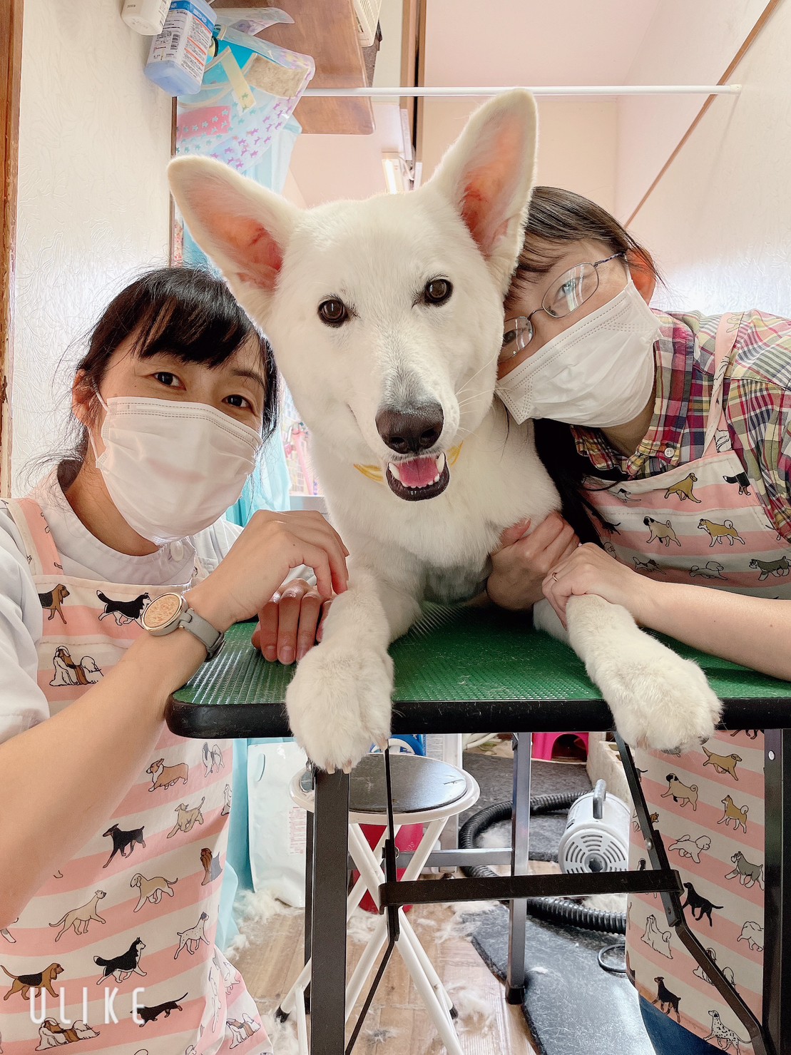 BUDDyについて