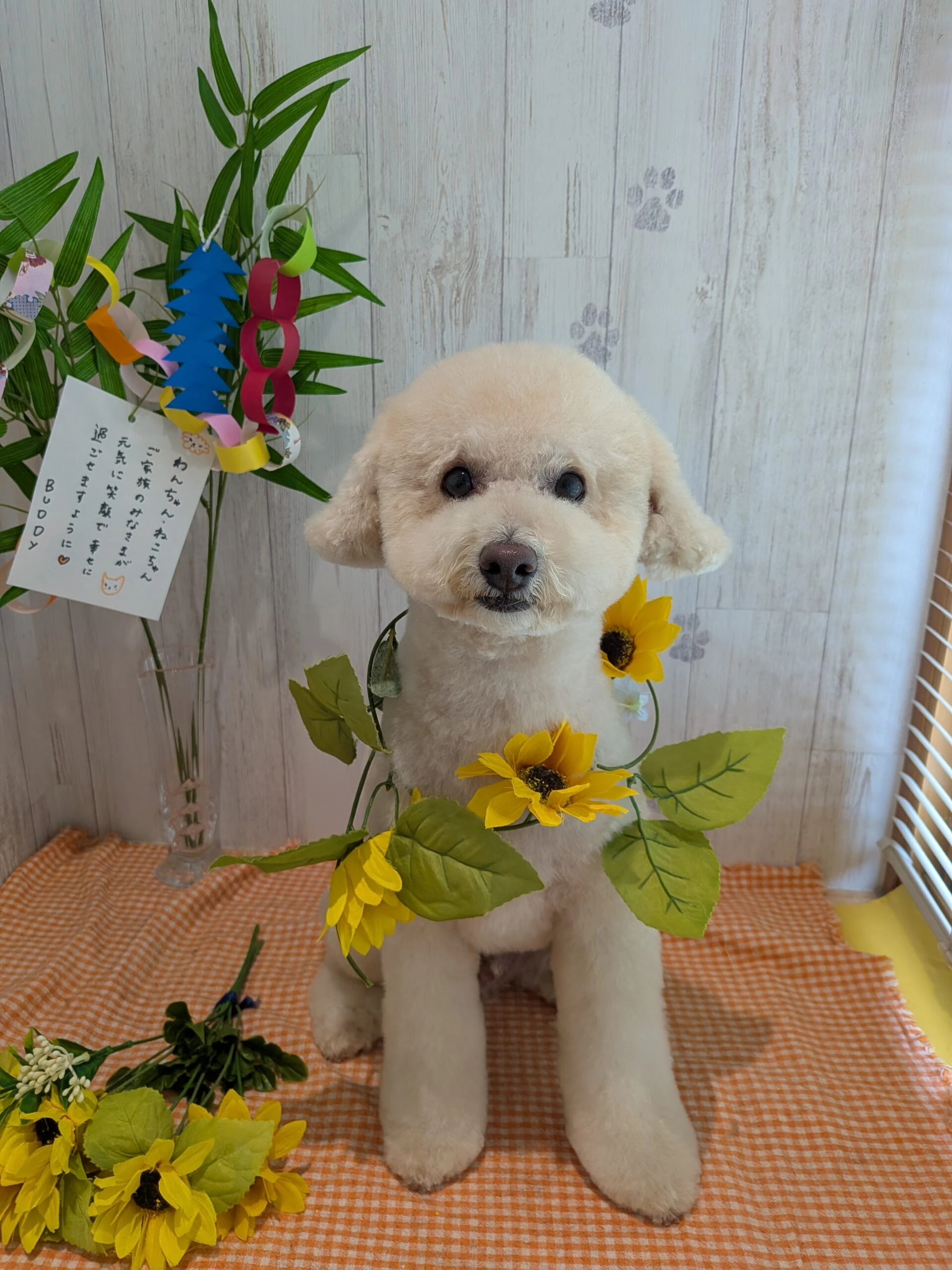 トリミング室でスタッフ2名が優しく寄り添いながら大型犬をトリミングする様子