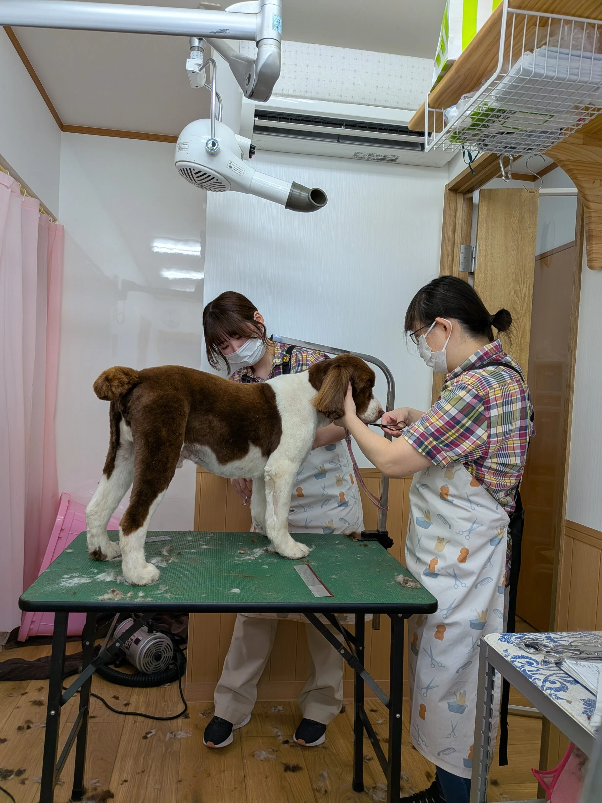 BUDDyの温かいスタッフとペットたちのふれあい